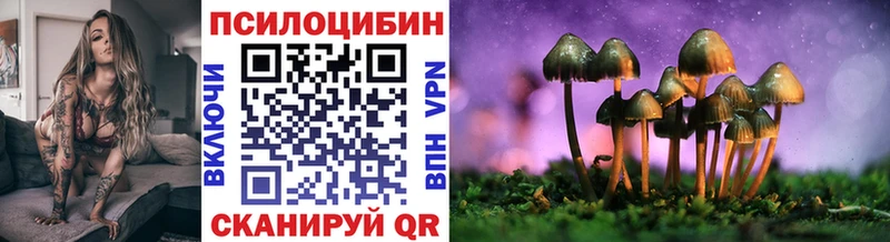 магазин продажи   kraken ССЫЛКА  Псилоцибиновые грибы Psilocybine cubensis  Алатырь 